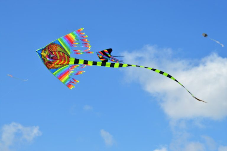 Embracing the Wild: Transforming Ordinary Weekends into Extraordinary Outdoor Adventures